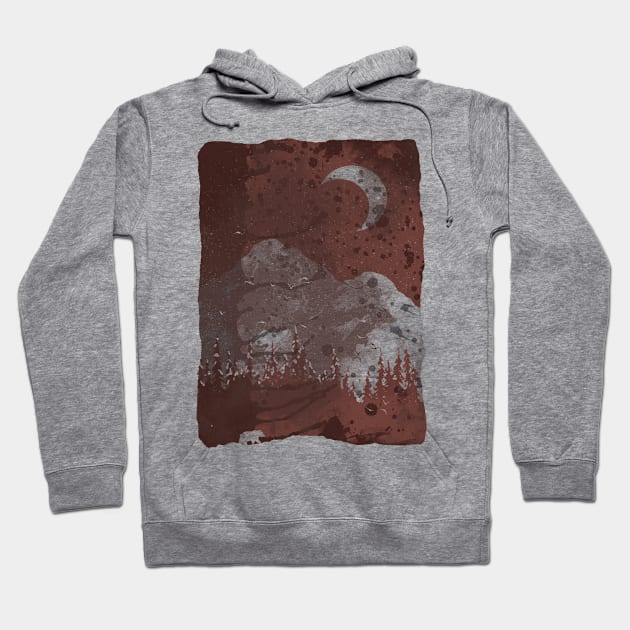 Winter Finds the Bear... Hoodie by NDTank